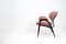 Italian Dark Pink Lounge Chair by Gastone Rinaldi for Rima, 1960s 2