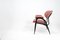 Italian Dark Pink Lounge Chair by Gastone Rinaldi for Rima, 1960s, Image 2