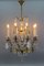 Antique Louis XVI Crystal Glass and Brass Chandelier 5