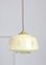 Mid-Century Glass & Brass Pendant Lamp, Set of 2, Image 1