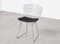 Wire Chairs by Harry Bertoia for Knoll, 1952, Set of 6, Image 13