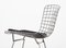 Wire Chairs by Harry Bertoia for Knoll, 1952, Set of 6 14