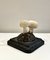 Studio Mushroom, Immagine 2