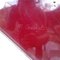 M. Crouzet, Escultura de Jaguar, latón y vidrio acrílico rojo, Imagen 4