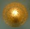 Mid-Century Ceiling Lamp or Wall Lamp in Etched Glass from Peill & Putzler, 1970s 3