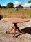 Viktorianischer Mahagoni Tilt-Top Tisch aus rohem Holz 13