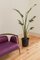 Essex Purple Leather Sofa by Javier Gomez 4