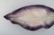 Kolossale Schale aus glasiertem Steingut von Pol Chambost, Frankreich, 1940er 6
