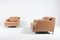 Vitnage DS 740 Lounge Armchairs with Ottoman from De Sede 4