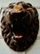 Large Victorian Hand Carved Lions Head 12