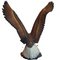 Escultura de águila de Capodimonte, Imagen 8