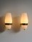 Wall Lamps from Stilnovo, 1950s, Set of 2 2