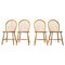 Large Dining Chairs by Luciano Ercolani for Ercol, 1970s, Set of 4 1