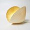 Vintage Shell Lamp by André Cazenave for Atelier A, Image 1