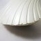 Vintage Shell Lamp by André Cazenave for Atelier A 6