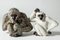 Monkeys Figurine by Gunnar Nylund for Rörstrand 9