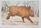 Blaise Prud'hon, The Boar, Lithograph, Image 1