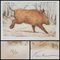 Blaise Prud'hon, The Boar, Lithograph 2