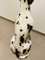 Cane dalmata grande, Immagine 6