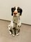 Grand Chien Dalmatien 1