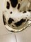 Grand Chien Dalmatien 8