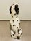 Large Dalmatian Dog Statue from Bassano, Italy, 1970s 3