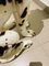 Großer dalmatinischer Hund 7