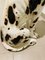 Large Dalmatian Dog Statue from Bassano, Italy, 1970s 15