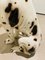 Large Dalmatian Dog Statue from Bassano, Italy, 1970s 18