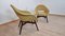 Set of Shell Armchairs by Miroslav Navratil 3