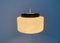 Lampe à Suspension Mid-Century par Yasha Heifetz pour Rotaflex Heifetz, 1960s 41