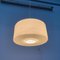 Mid-Century Pendant Lamp by Yasha Heifetz for Rotaflex Heifetz, 1960s 4