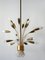 Mid-Century Modern German 18-Flamed Sputnik Pendant Lamp, 1950s 4