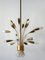 Mid-Century Modern German 18-Flamed Sputnik Pendant Lamp, 1950s, Image 4