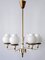 Mid-Century Modern Six-Armed Tulipan Pendant Lamp or Chandelier from Kaiser, 1950s 2