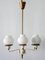 Mid-Century Modern Six-Armed Tulipan Pendant Lamp or Chandelier from Kaiser, 1950s 10