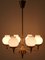 Mid-Century Modern Six-Armed Tulipan Pendant Lamp or Chandelier from Kaiser, 1950s 3