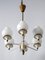 Mid-Century Modern Six-Armed Tulipan Pendant Lamp or Chandelier from Kaiser, 1950s 18