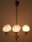 Mid-Century Modern Six-Armed Tulipan Pendant Lamp or Chandelier from Kaiser, 1950s 11