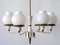 Mid-Century Modern Six-Armed Tulipan Pendant Lamp or Chandelier from Kaiser, 1950s 1