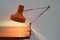 Lampe de Bureau Ajustable Mid-Century de Napako, 1960s 5