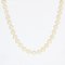 Modern Cultured Pearl 18 Karat Yellow Gold Clasp Necklace 3
