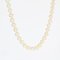 Modern Cultured Pearl 18 Karat Yellow Gold Clasp Necklace 6