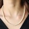 Modern Cultured Pearl 18 Karat Yellow Gold Clasp Necklace 9
