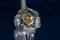 Lampadario o lanterna Mid-Century di Barovier, anni '50, Immagine 7