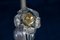 Mid-Century Chandelier or Lantern by Barovier, 1950, Image 7