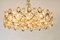 Gilt Brass and Crystal Chandelier from Palwa, Germany, 1970s 8