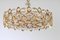 Gilt Brass and Crystal Chandelier from Palwa, Germany, 1970s 7