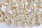 Brass and Crystal Chandelier by Sciolari for Palwa, Germany, 1970s, Image 9