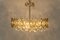 Brass and Crystal Chandelier by Sciolari for Palwa, Germany, 1970s 11